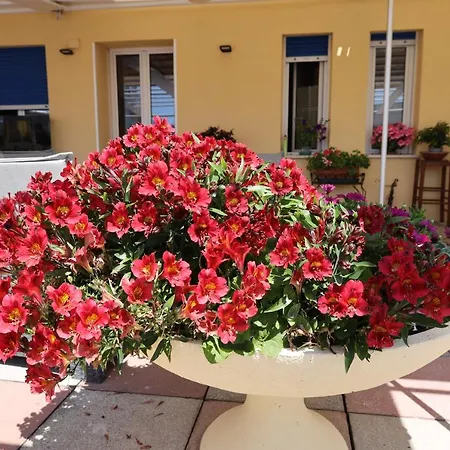 Stella Di Mare Hotel