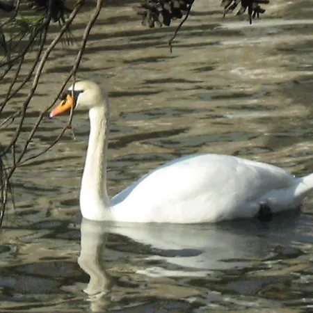 Stella Di Mare Hotel