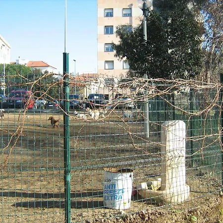 Stella Di Mare 2* Lavagna