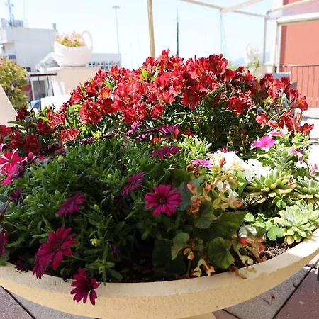 Hotel Stella Di Mare Lavagna