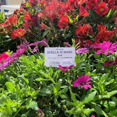 Stella Di Mare 2*