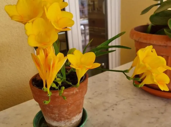 Stella Di Mare Szálloda