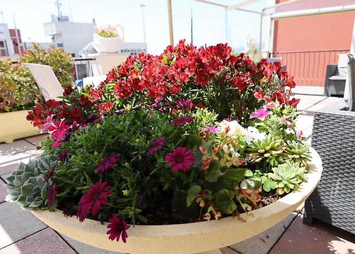 Hotel Stella Di Mare Lavagna