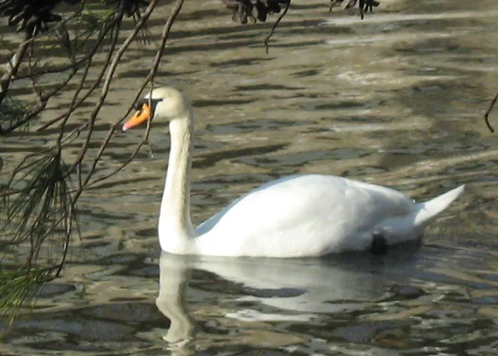 Stella Di Mare Hotel